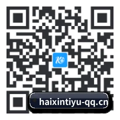 安卓掌上数据终端 二维码